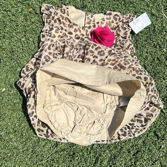 NWT Cheetah 4 Piece Outfit with Hat Size 0-6 months - Picture 7 of 14